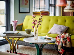 LEGO Icons Kirsikankukka 40725, yli 8-vuotiaille