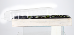 Bricka till sålåda