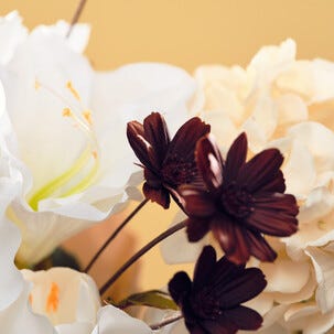 Kunstig snittblomst, mørkerød kosmos, 66 cm