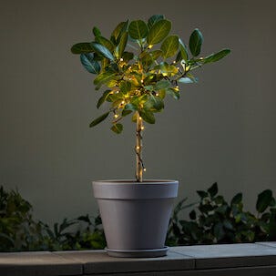 Solcelledrevet lysslynge med timer og varmhvitt LED-lys, 14 m