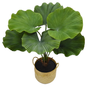 Kunstig plante i potte Licuala 70 cm