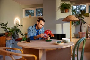 LEGO Botanical Collection Bonsaiträd, japansk lönn 10348, 18 år