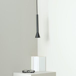 Northlight Vide hengende taklampe med spotlight, svart