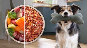 Bosch MFWS682B köttkvarn, elektrisk, med tillbehör