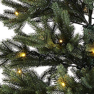 Julgran med inbyggd belysning, 210 cm Northlight