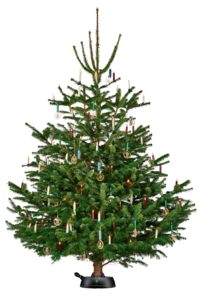 Julgransfot Krinner Green Line M