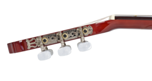 Nylonsträngad akustisk gitarr Joy