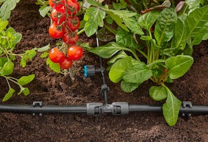 Gardena T-liitin 1/2 tuumaa - 3/16 tuumaa, 5 kpl