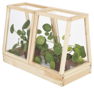 Miniväxthus i trä