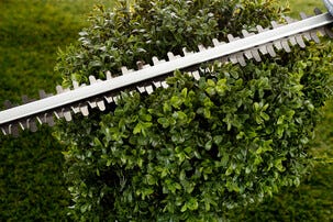 Cocraft LXC HT18 hekksaks