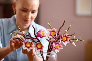 LEGO Botanicals Magnolia-grener 11510, fra 18 år