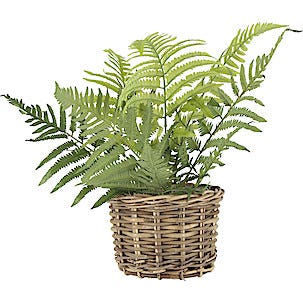 Ormbunke konstväxt, 62 cm