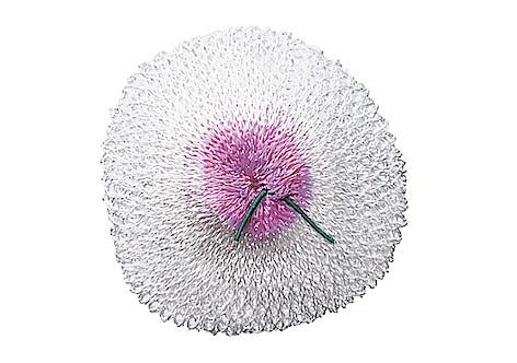 Glødestrømpe til Primus Mimer gasslykt