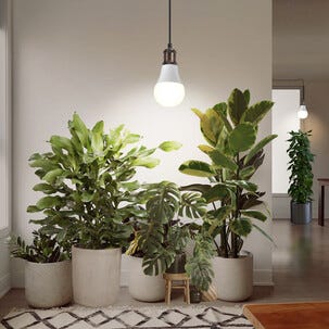 Kasvivalo LED E27 sisäkäyttöön, 9 W