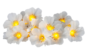 Lysslynge med solceller