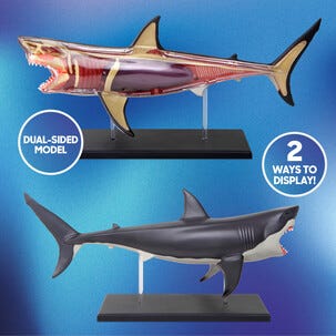 Discovery 4D Shark Anatomy Kit byggesett hai, fra 6 år