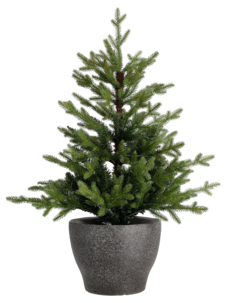 Liten julgran 90 cm med batteridriven micro LED-belysning