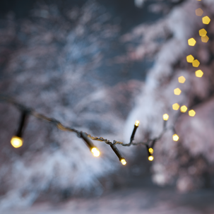 LED ljusslinga med svart kabel utomhus / inomhus, Northlight