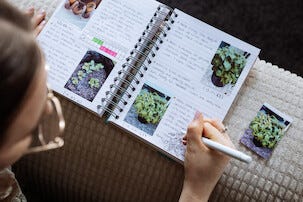 Canon Zoemini Zink fotopapir
