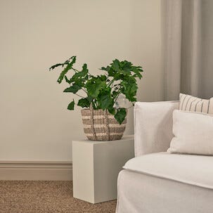 Selvvannende kule, 350 ml, 2-pakning