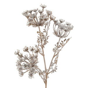 Vildmorot frostad konstblomma, 74 cm