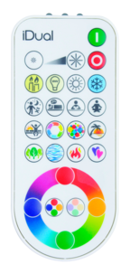 Fjärrkontroll iDual