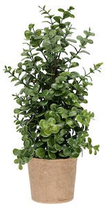 Buxbom konstväxt, 30cm