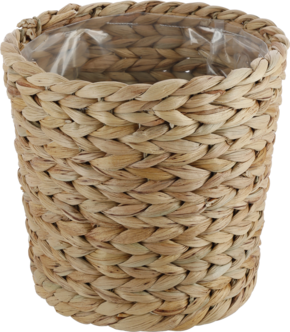 Kukkaruukku vesihyasintti