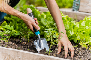 Plantespade Gardena EcoLine