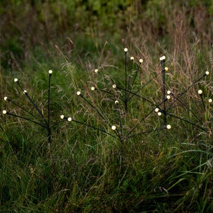 Firefly solcellebelysning, hvitt og farget lys