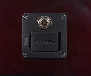 Stålsträngad akustisk gitarr med pickup Joy