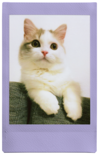 Instax Mini fotopapir 10-pakning, Fujifilm