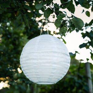 Northlight solcellelykt rislampe, hvit