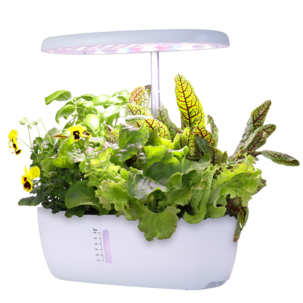 Hydroponisk odling kit 12 odlingspluggar och växtlampa LED