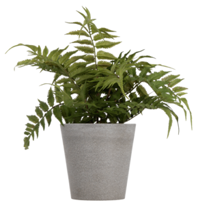 Saniainen tekokasvi 36 cm