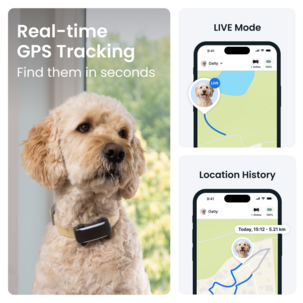 Tractive Dog 6XL GPS-tracker for stor hund