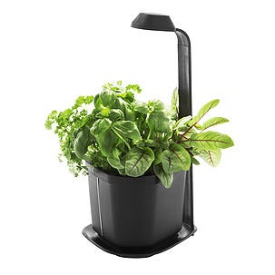 Viljelyruukku ja kasvivalaisin Genie Kitchen Garden