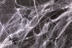 Spindelnät Halloween