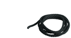 Fenderlina Aqualine Blackline PS