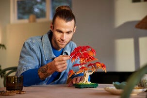 LEGO Botanical Collection Bonsaiträd, japansk lönn 10348, 18 år