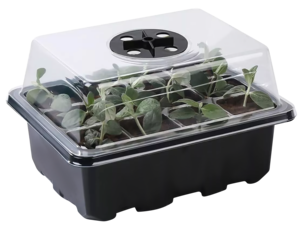 Minikasvihuone sisälle muovia, 14 x 11 x 18,5 cm