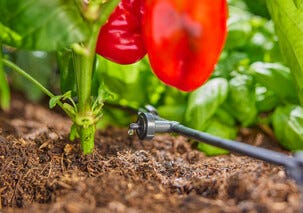 Gardena Aquabloom set L droppbevattning solcell, 30 plantor