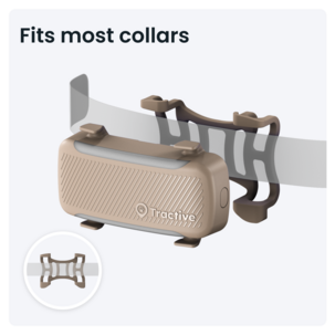 Tractive Dog 6XL GPS-tracker for stor hund
