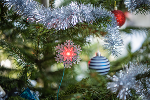 Joulukuusen vesivahti Brightflake