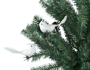 Dekorasjonsfugler med klips