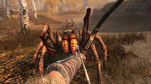 Skyrim,The Elder Scrolls V. Nintendo Switch -peli