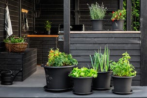 Orthex Botanica Ulkoruukku, muovi, musta