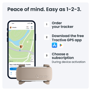 Tractive Dog 6 GPS-tracker for hund