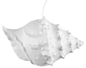 Pöytävalaisin Snäcka posliinia, Northlight