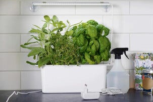 Nelson Garden plantelys LED-list innendørs, 39 cm
